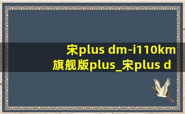 宋plus dm-i110km旗舰版plus_宋plus dm-i110km旗舰版plus(低价烟批发网)版